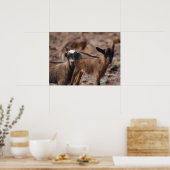 Poster Personnaliser (Cuisine)