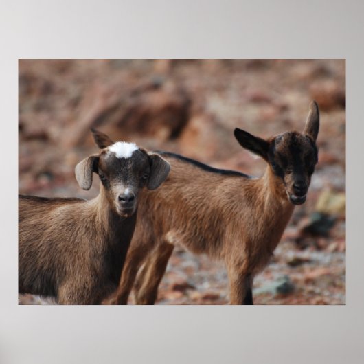 Poster Personnaliser (Devant)