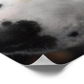 Poster Personnaliser (Coin)