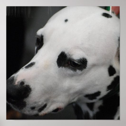 Poster Personnaliser (Devant)