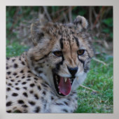 Poster Personnaliser (Devant)