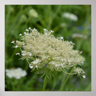 Poster Personnaliser