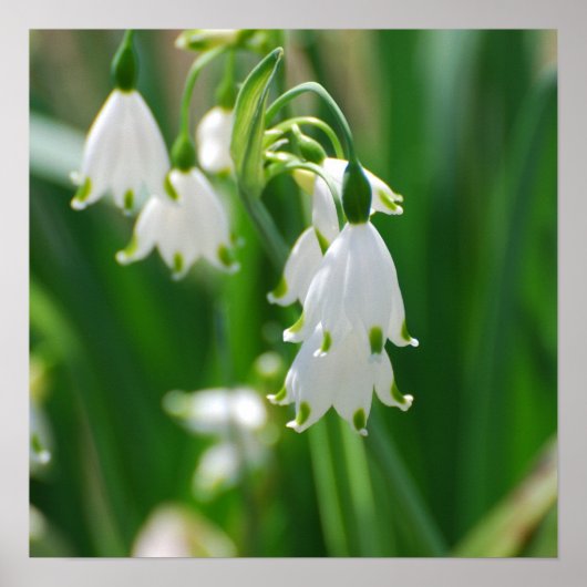 Poster Personnaliser (Devant)