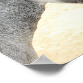 Poster Personnaliser (Coin)