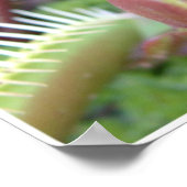 Poster Personnaliser (Coin)