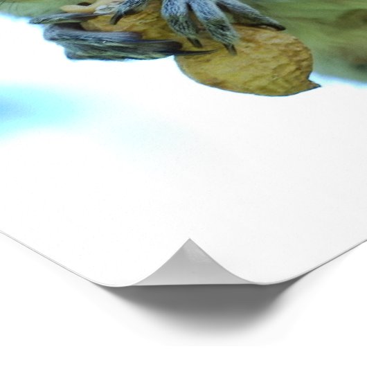 Poster Personnaliser (Coin)