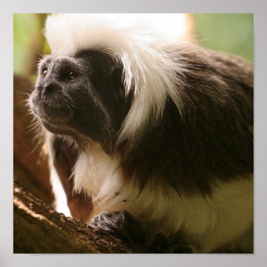 Poster Personnaliser (Devant)