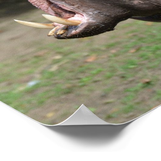 Poster Personnaliser (Coin)