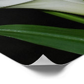 Poster Personnaliser (Coin)