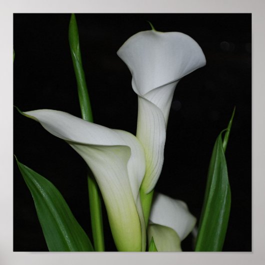 Poster Personnaliser (Devant)