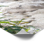 Poster Personnaliser Dunn’s River Falls photo (Coin)