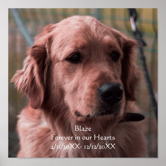 Poster Personnaliser Photo Pet Memorial Keepsaké (Devant)