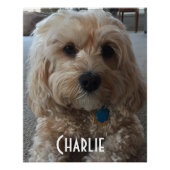 Poster Personnalisez votre chien de famille (Devant)