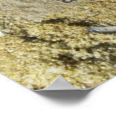Poster Personne n'est une source d'inspiration sage prove (Coin)