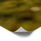 Poster Personne tenant un pot de mason rempli de jus à (Coin)