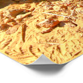 POSTER PERSONNEL AMÉRICAIN DE COMBAT (Coin)