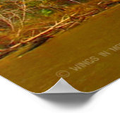 POSTER PERSONNEL AMÉRICAIN DE COMBAT (Coin)