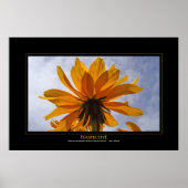 Poster Perspective (Devant)