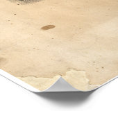 Poster Perspective Carte de Duluth Minnesota (1893) (Coin)