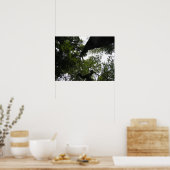 Poster Perspective - Photo Woodland (Cuisine)