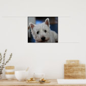 Poster Pestie ultra mite Westie White Terrier (Cuisine)