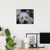 Poster Pestie ultra mite Westie White Terrier (Bureau à domicile)