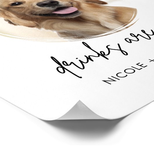 Poster Pet Dog Mariage Open Bar Boissons Signal (Coin)