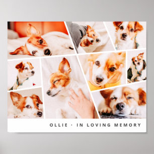 Poster Pet Memorial Modern Simple Chic 9 Photos Collage