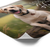 Poster Pet Photo Custom Memorial (Coin)