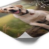 Poster Pet Photo Custom Memorial (Coin)