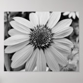Poster Petal Flower 10x8 (Devant)