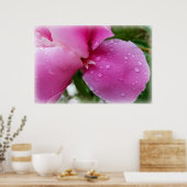 Poster pétale perdue sous la pluie (Cuisine)