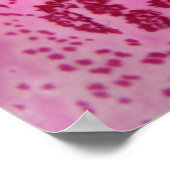 Poster Pétale rose Foxglove (Coin)