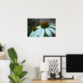 Poster Pétales blancs, Fleur (affiche) (Bureau à domicile)