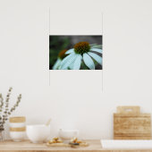 Poster Pétales blancs, Fleur (affiche) (Cuisine)