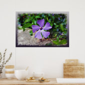 Poster Pétales bleu violet (Cuisine)