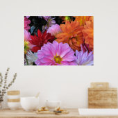 Poster Pétales Dahlia (Cuisine)