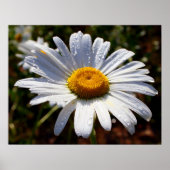 Poster Pétales De Blanc (Devant)