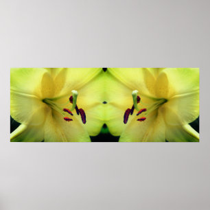 Poster Pétales de fleurs jaunes Miroir Abstrait