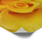 Poster Pétales de rose jaune romantiques (Coin)
