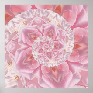 Poster Pétales de rose rose spirale d'amour oeuvre numéri