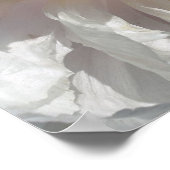 Poster Pétales Et Centre De Fleur De Peine Blanche (Coin)