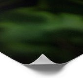 Poster pétales rebelles (Coin)