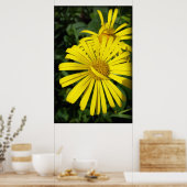 Poster pétales rebelles (Cuisine)