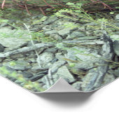 Poster Pétales roses Pricky Cactus Desert Art Imprimer Po (Coin)