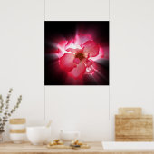 Poster pétales rouges clairs (Cuisine)