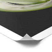 Poster Pétales Tulipes Blanches Art Floral (Coin)