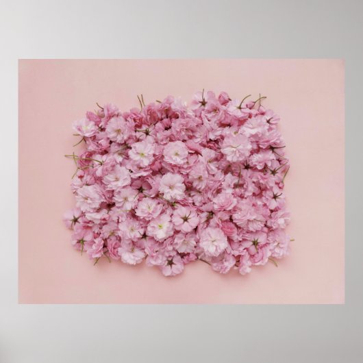 POSTER PETAUX DE FLEURS ROSES ET BLANCHES (Devant)