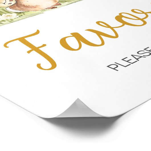 Poster Peter Rabbit Baby shower Faveurs (Coin)