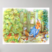 Poster Peter the Rabbit Sneaking into Mc Gregor's Vegie  (Devant)